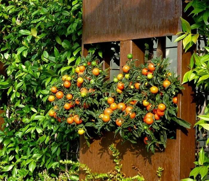 Modern Outdoor Garden Corten Steel Flower Pot/Planter Stylish Indoor/Outdoor Decor