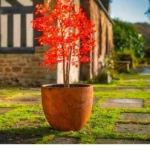 Wholesale Factory Directly Corten Steel Customized Color Size European Style Corrosion Resistant Home Garden Outdoor Flower Pot