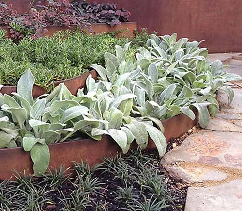 Metal Bendable Grass Border Customized Size Corrosion-resistant Corten Steel Garden Lawn Edging for Landscape