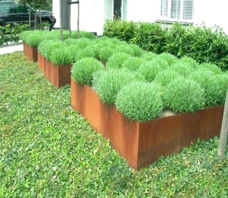 Corten Steel Garden Edging Corten Steel Plant Wall Custom Metal Lawn Corten Steel Garden Edging
