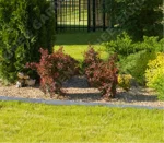 Art Garden Steel Edge Corten Steel Grass Edge for Landscaping