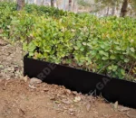 High Quality Galvanized Steel Garden Edging Landscape Edging Garden Decorative Corten Steel Garden Edging