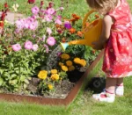 Corten Steel Eco-Friendly Edging for Landscaping Lawn Edging Planter & Plant Liner