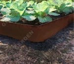 Corten Steel Eco-Friendly Edging for Landscaping Lawn Edging Planter & Plant Liner
