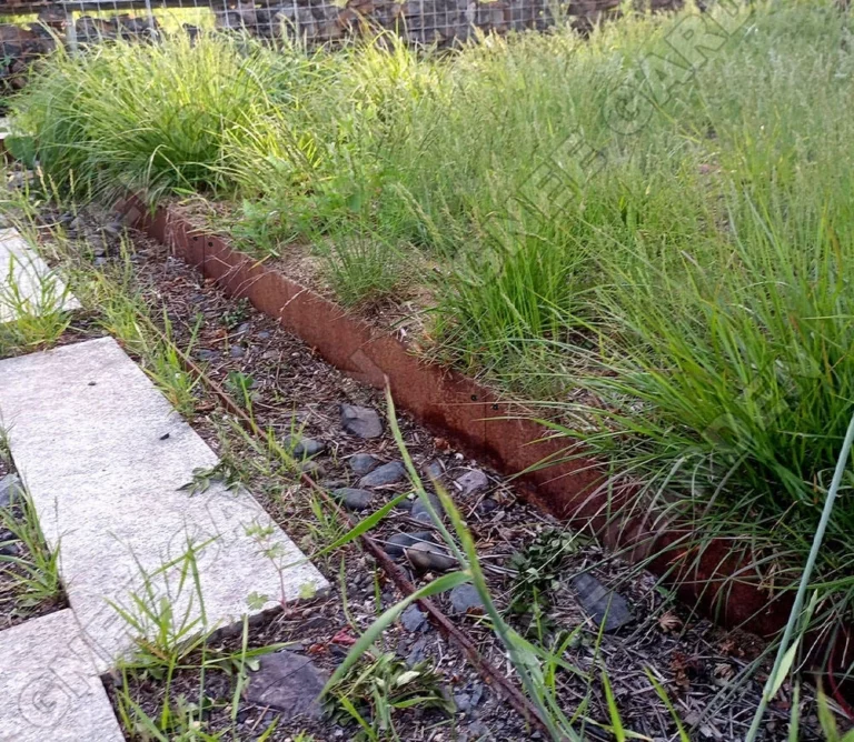 Garden Decoration Corten Steel Rusted Retaining Plate Edging Border Eco-Friendly Planter & Plant Liner for Outdoor Use