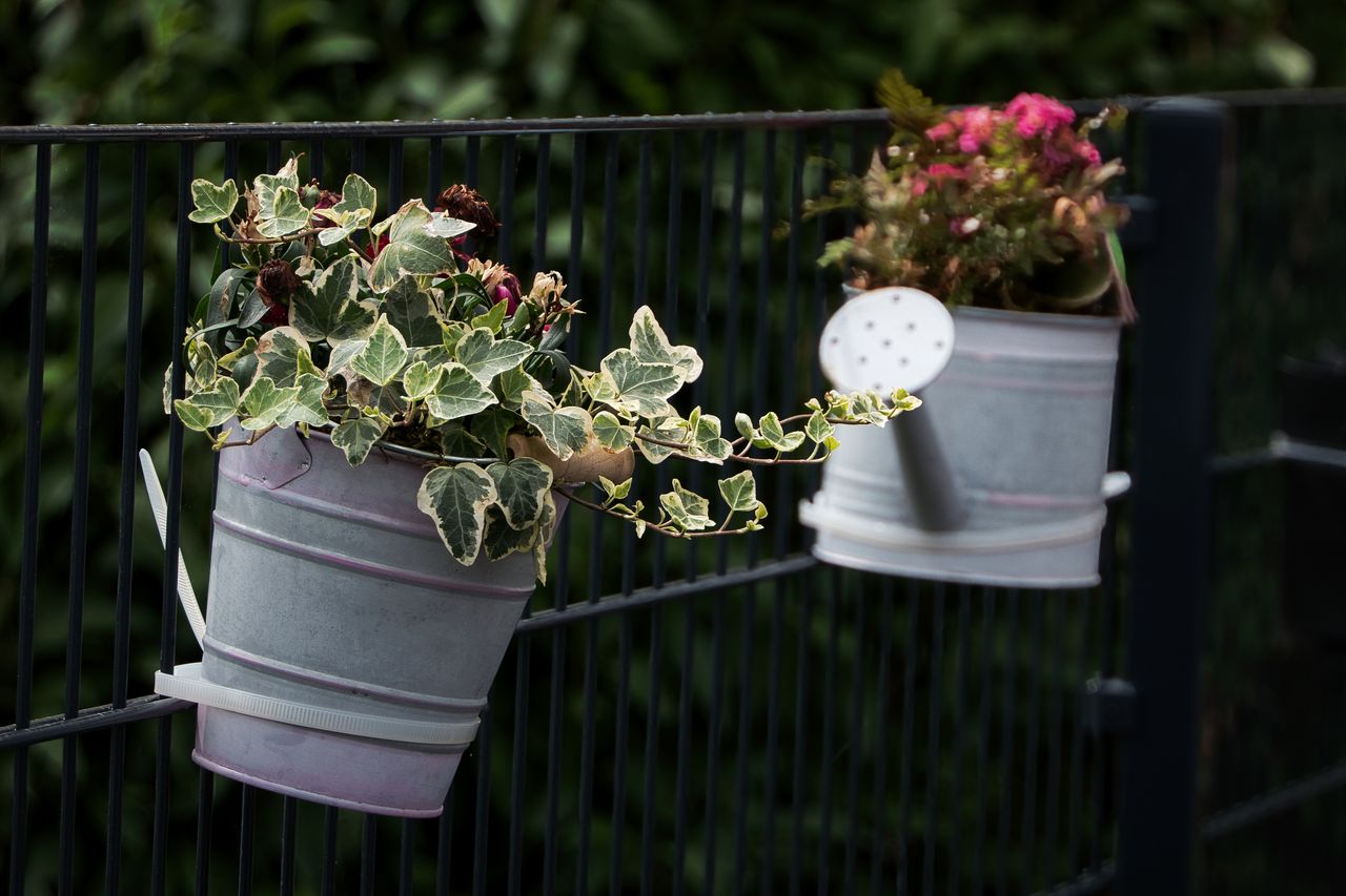 Metal garden fence and landscape edging