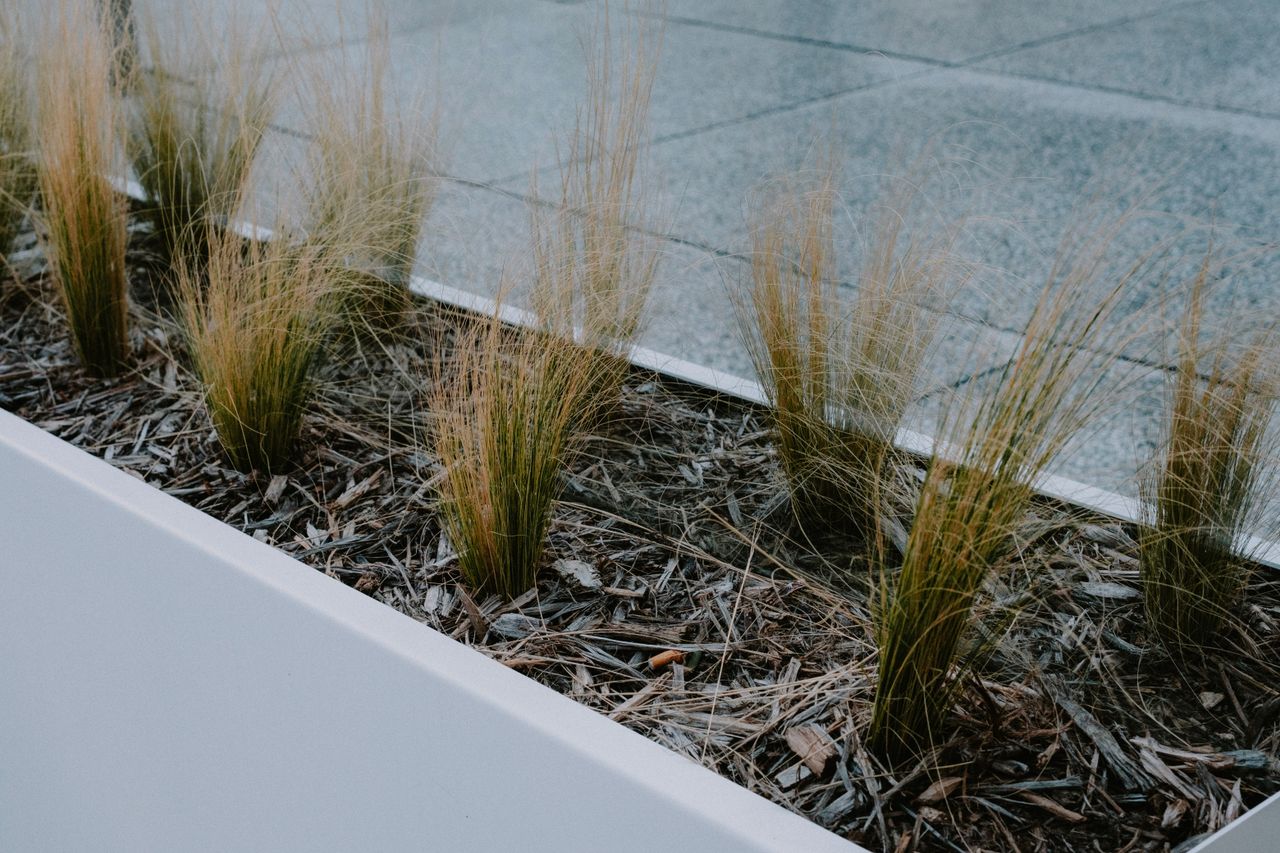 Corten steel planter box with plants in an outdoor landscape