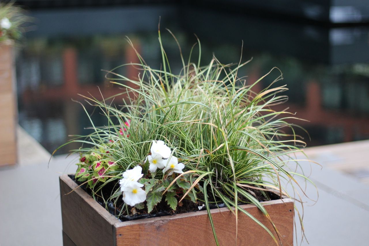 Corten steel planter box with plants in an outdoor landscape