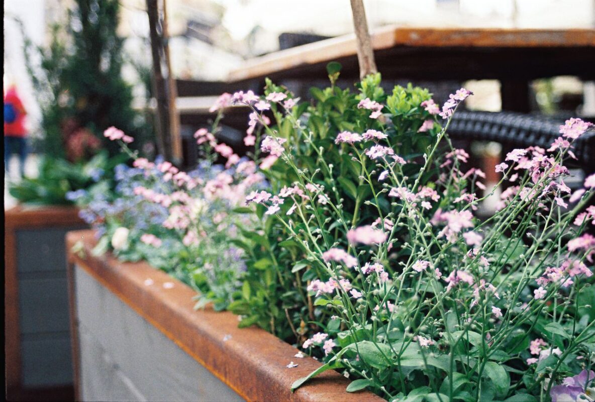 Corten steel planter box with plants in an outdoor landscape