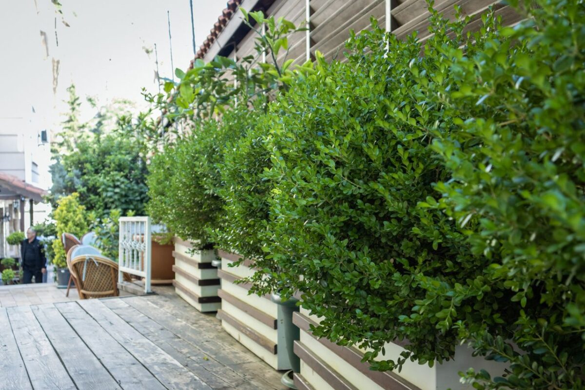Corten steel planter box with plants in an outdoor landscape