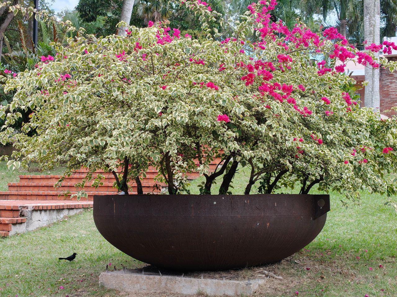 Corten steel planter - Corten Steel Raised Planter: Commercial Landscape Specification Guide
