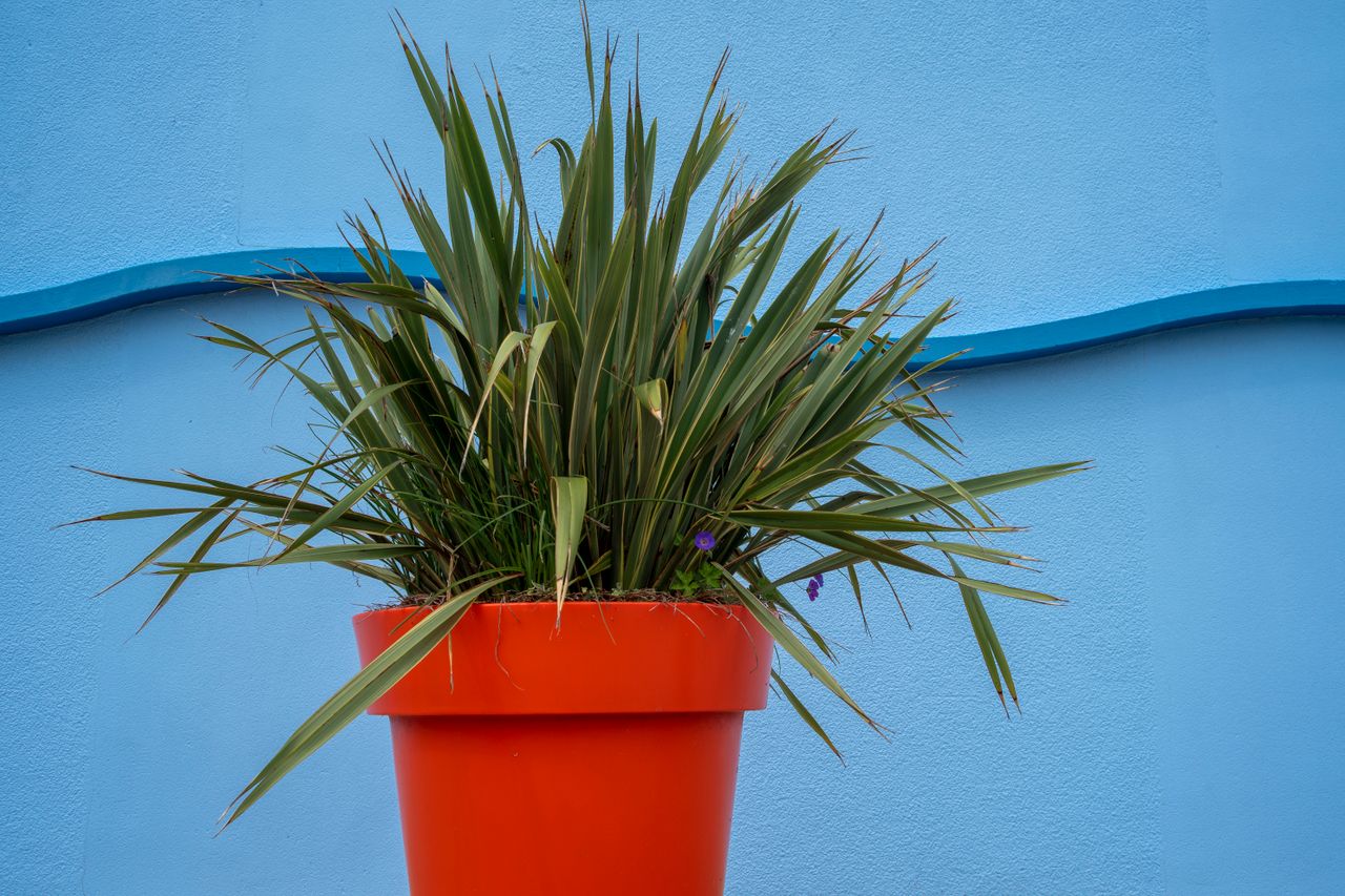 Corten steel planter - Corten Steel Garden Bed: Specification Guide for Commercial Landscapes