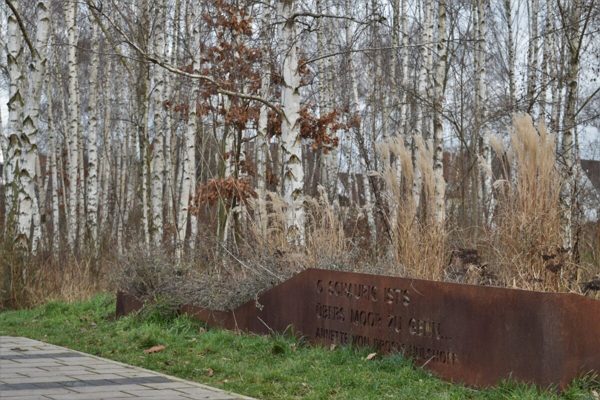 Real weathering steel landscape edging in a German park planting scheme